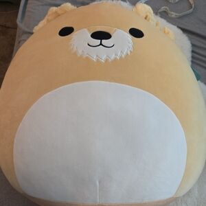Squishmallows Cooper Plush Toy